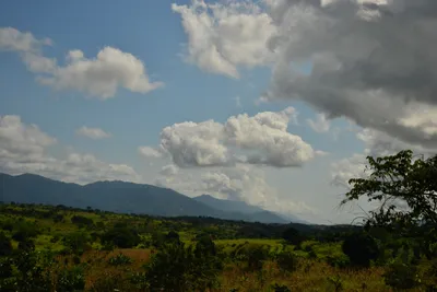 DSC_4389 (Large).JPG